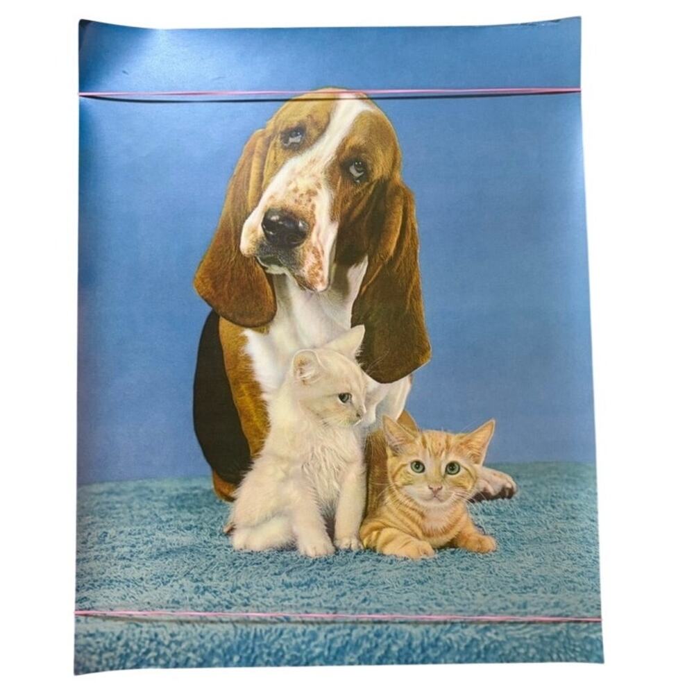 Vintage Basset Hound & Kittens Poster Print – Blue & Brown Animal Wall Art 20x16
